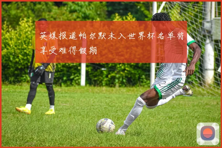 英媒报道帕尔默未入世界杯名单将享受难得假期