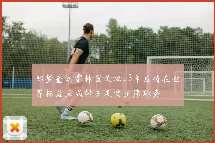 郑梦奎执掌韩国足坛13年后将在世界杯后正式辞去足协主席职务
