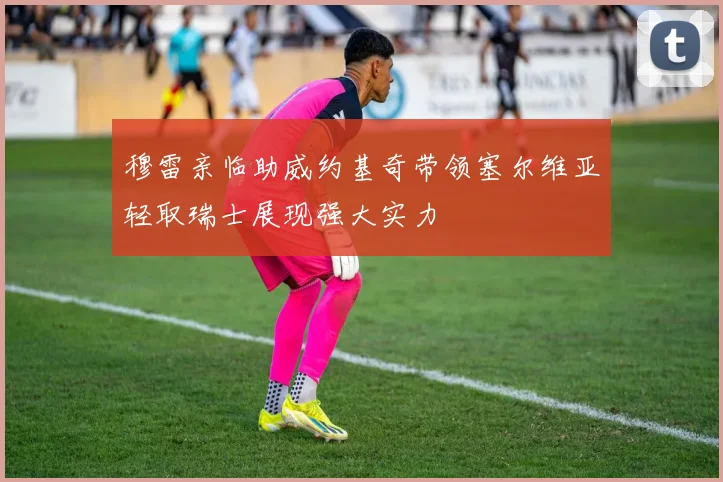 穆雷亲临助威约基奇带领塞尔维亚轻取瑞士展现强大实力